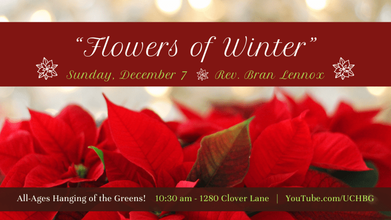 img (photo of poinsettias) "Flowers of Winter" Rev. Bran Lennox - 10:30 am - 1280 Clover Lane - youtube.com/uchbg
